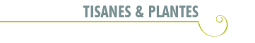 tisanes et plantes