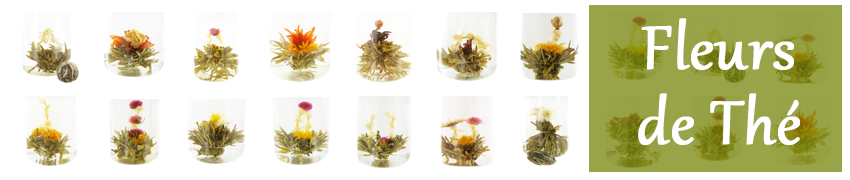 Fleurs de thé Teabloom - 12 variétés uniques de boules de thé - Feuilles de  thé vert attachées les unes aux autres à la main et fleurs comestibles - 12  fleurs par